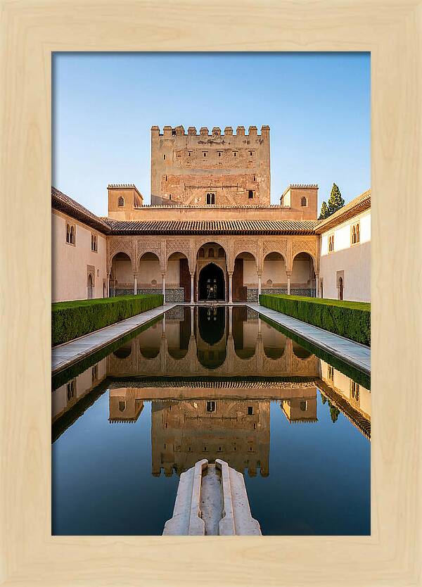 Court Of The Myrtles Reflection