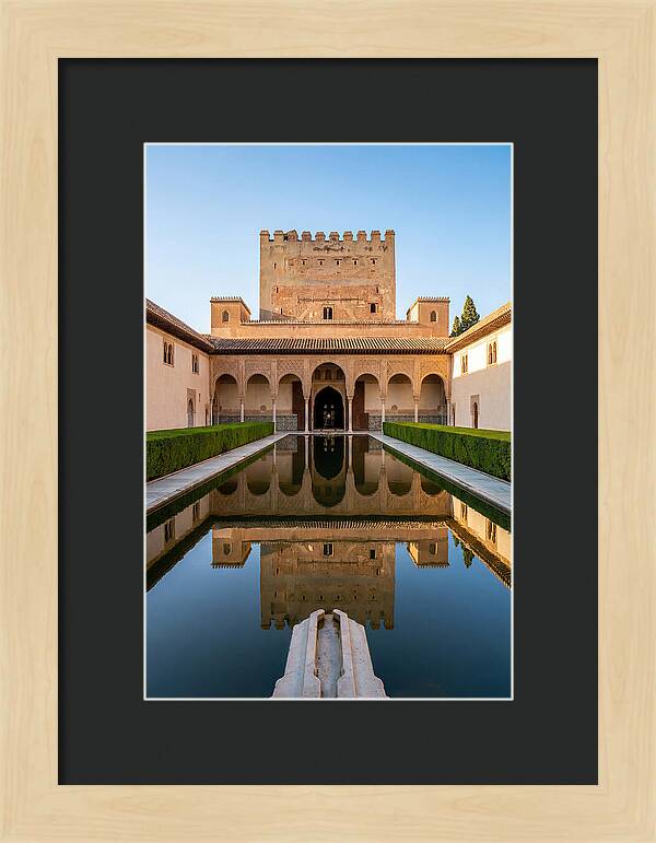 Court Of The Myrtles Reflection