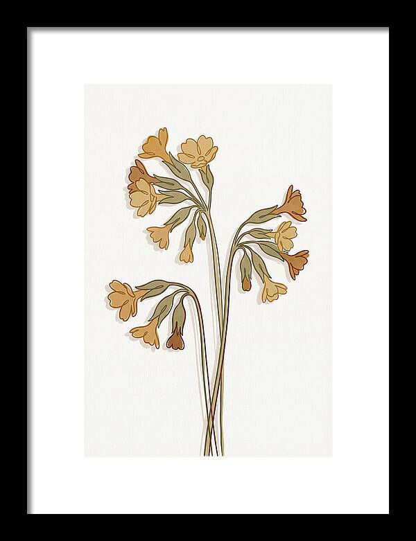 Cowslip Primrose Cluster
