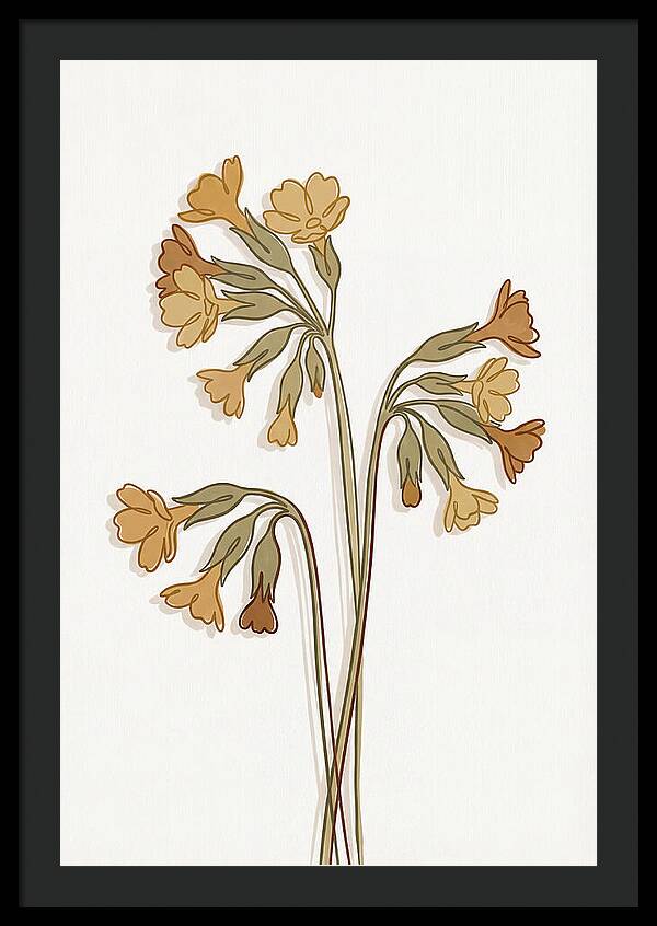 Cowslip Primrose Cluster