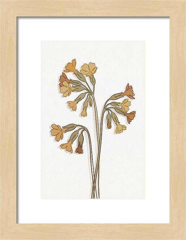 Cowslip Primrose Cluster