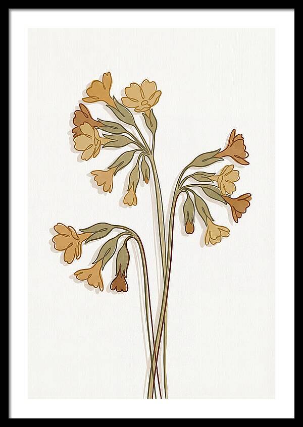 Cowslip Primrose Cluster