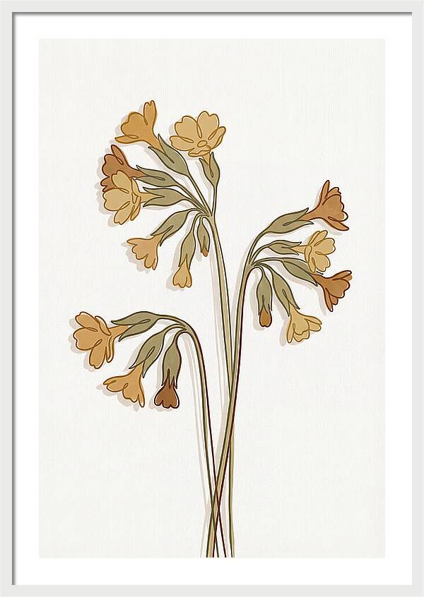 Cowslip Primrose Cluster