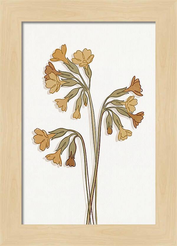 Cowslip Primrose Cluster