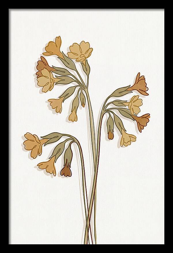 Cowslip Primrose Cluster