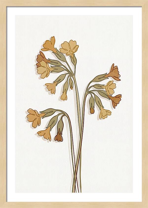 Cowslip Primrose Cluster