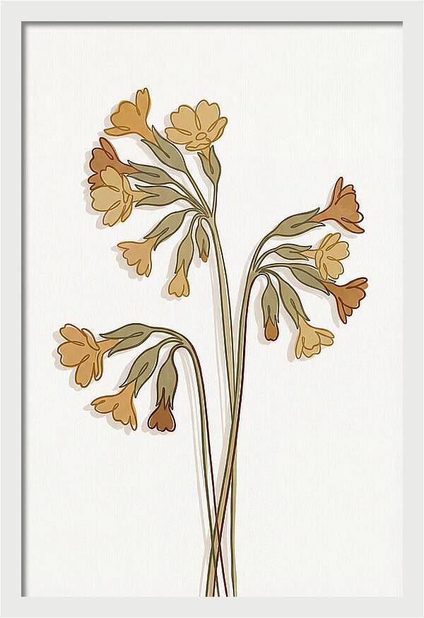 Cowslip Primrose Cluster