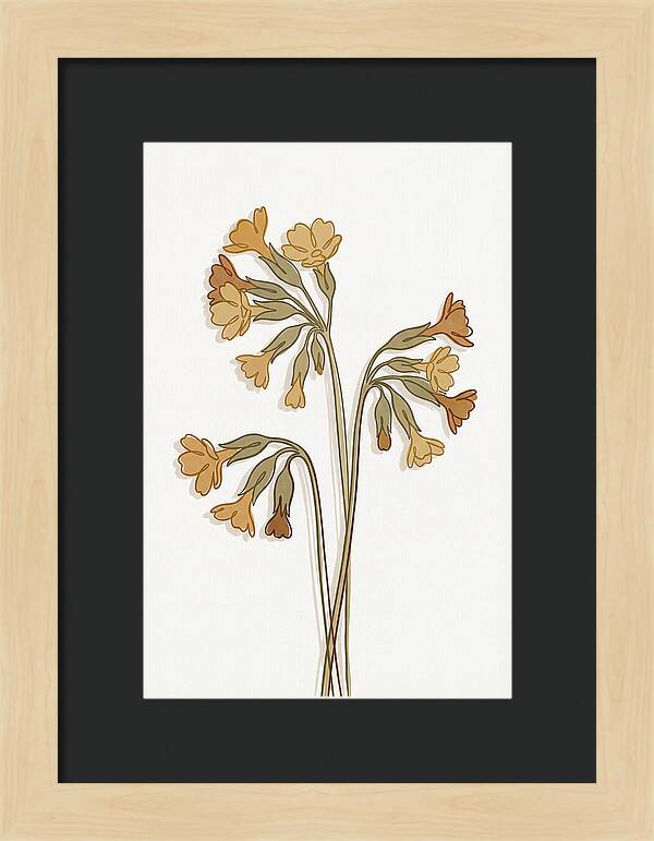 Cowslip Primrose Cluster