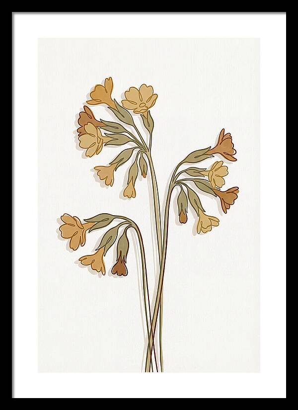 Cowslip Primrose Cluster