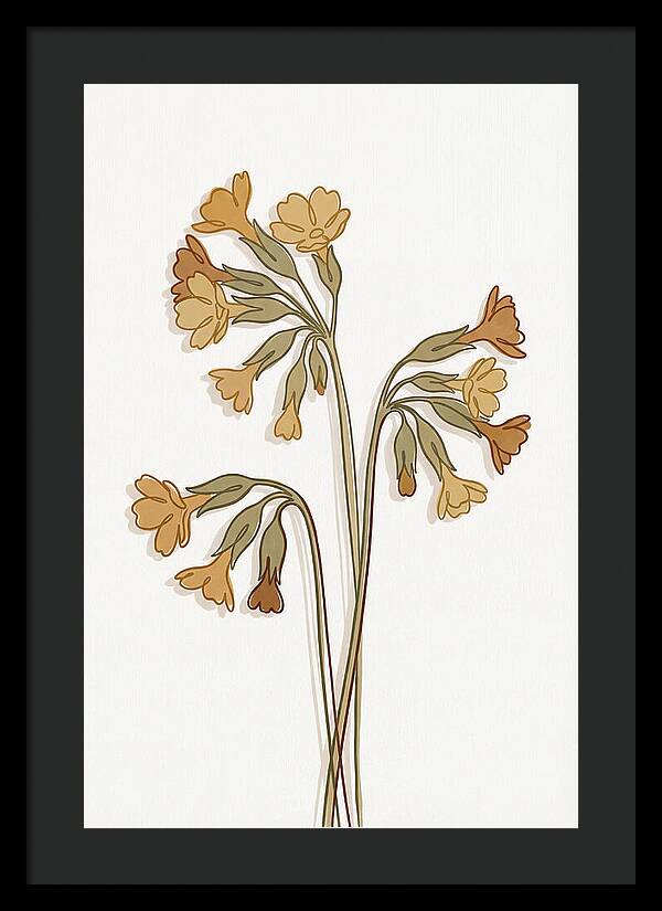 Cowslip Primrose Cluster