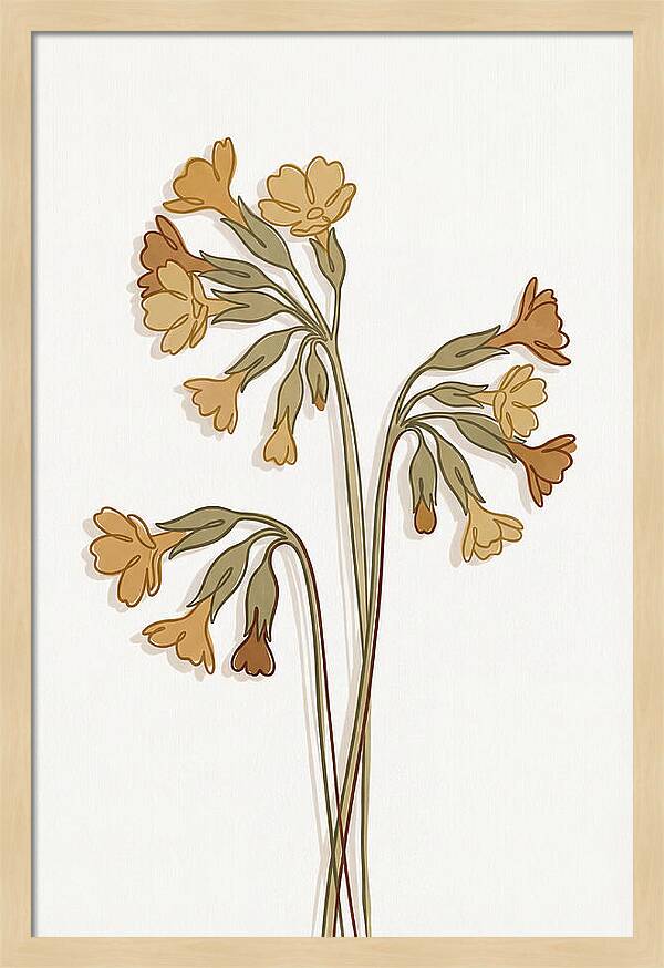Cowslip Primrose Cluster
