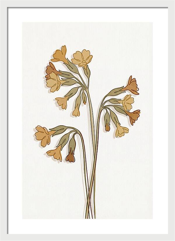 Cowslip Primrose Cluster