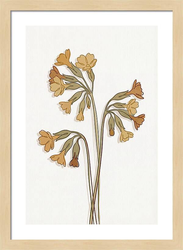Cowslip Primrose Cluster