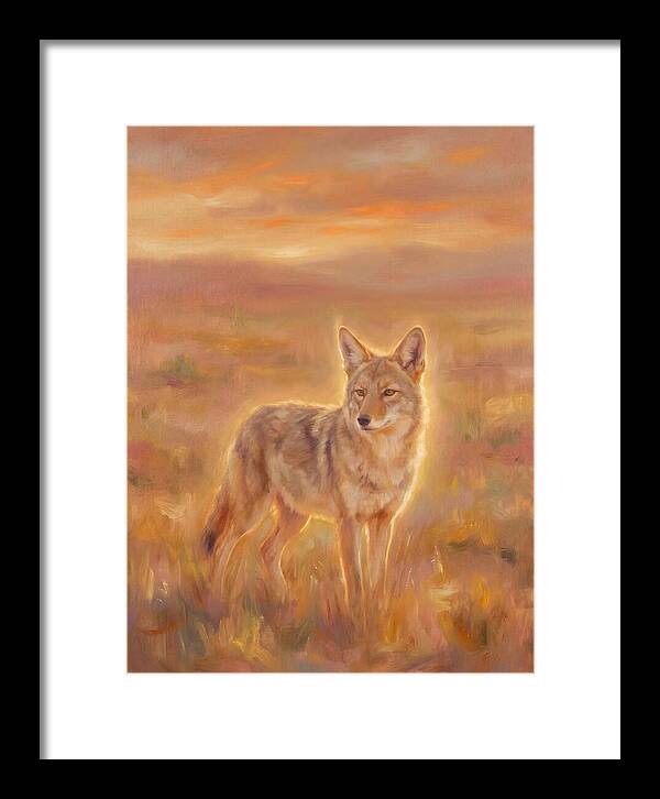 Coyote In Sunset