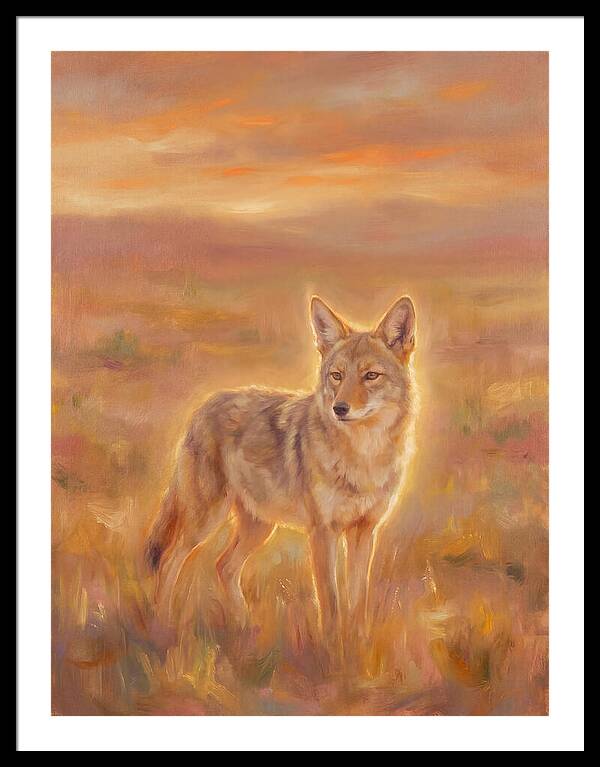 Coyote In Sunset