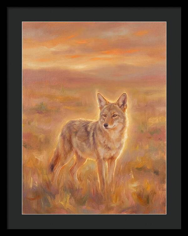 Coyote In Sunset