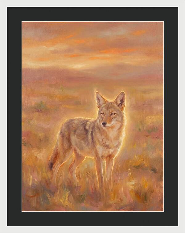 Coyote In Sunset