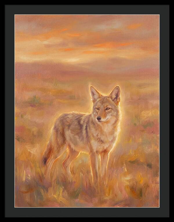 Coyote In Sunset