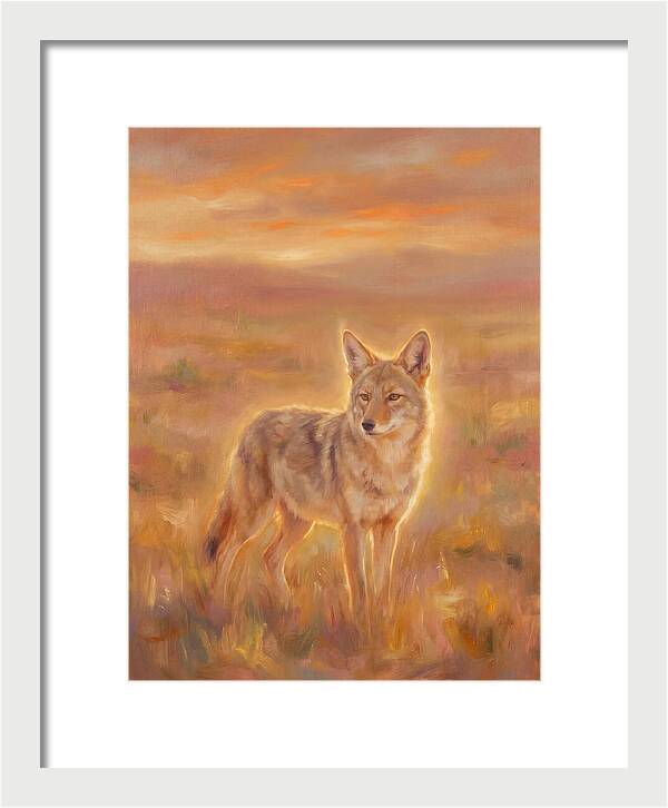 Coyote In Sunset