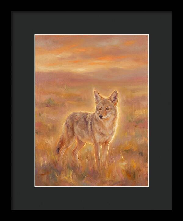 Coyote In Sunset