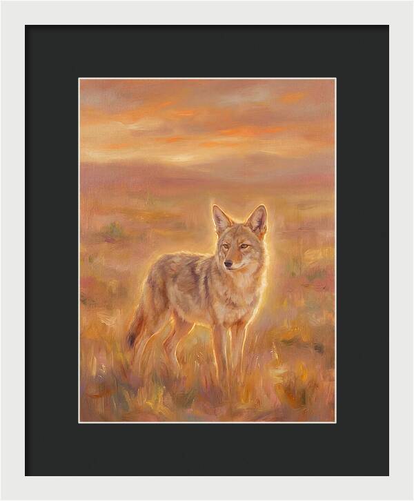 Coyote In Sunset