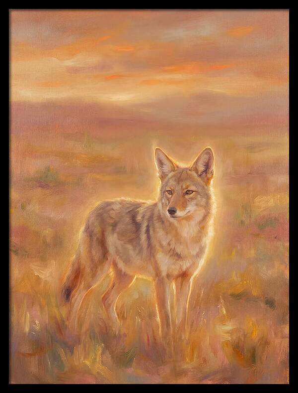 Coyote In Sunset