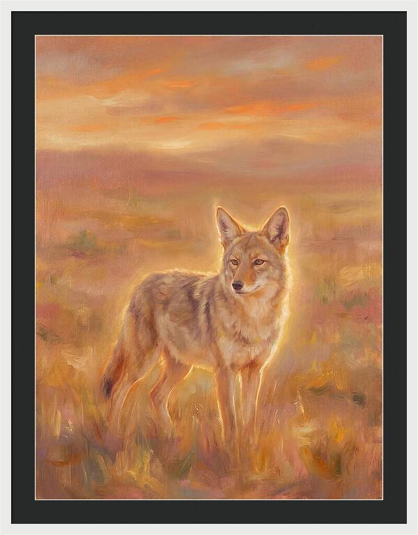 Coyote In Sunset