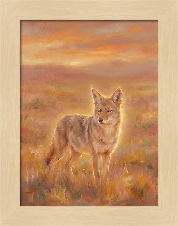 Coyote In Sunset