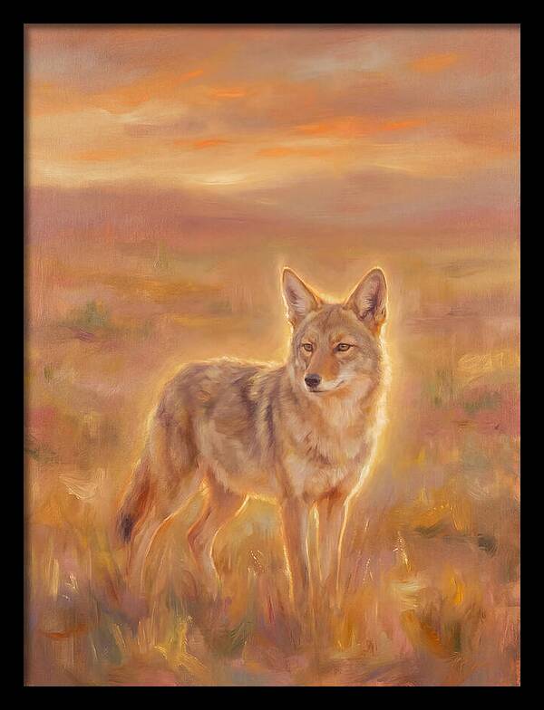 Coyote In Sunset
