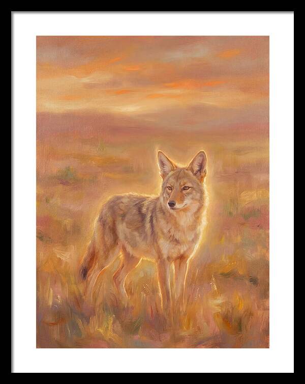 Coyote In Sunset