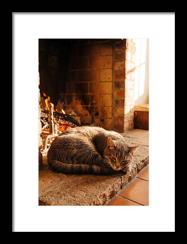 Cozy Cat By The Fireplace