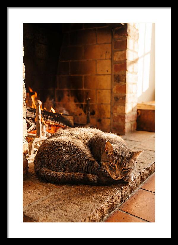 Cozy Cat By The Fireplace