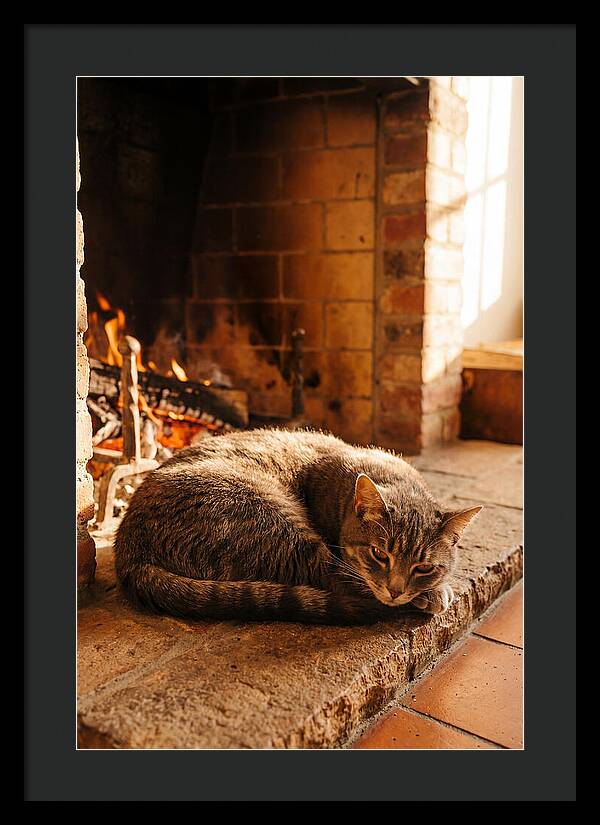 Cozy Cat By The Fireplace