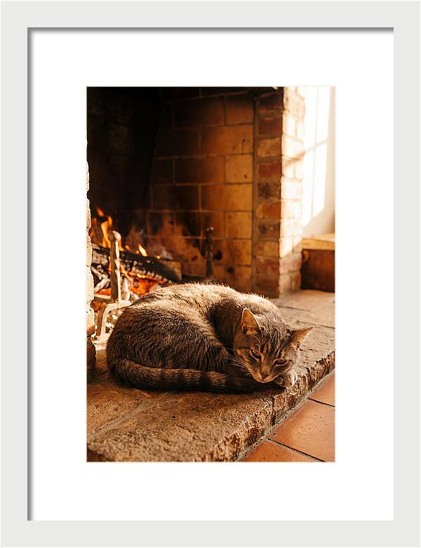 Cozy Cat By The Fireplace