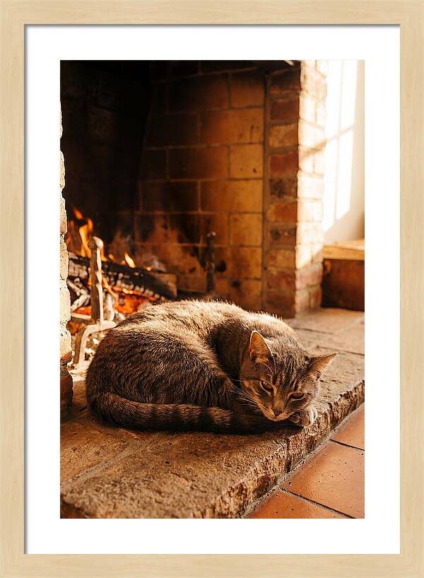 Cozy Cat By The Fireplace