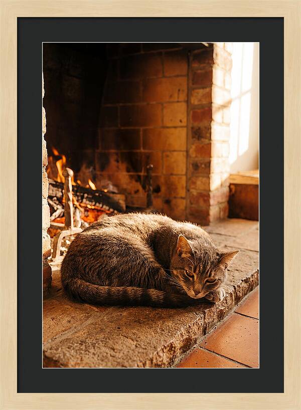 Cozy Cat By The Fireplace