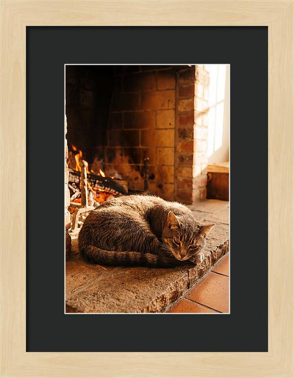 Cozy Cat By The Fireplace