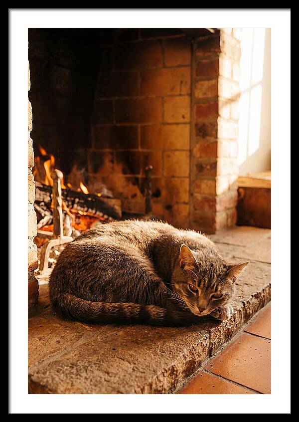 Cozy Cat By The Fireplace