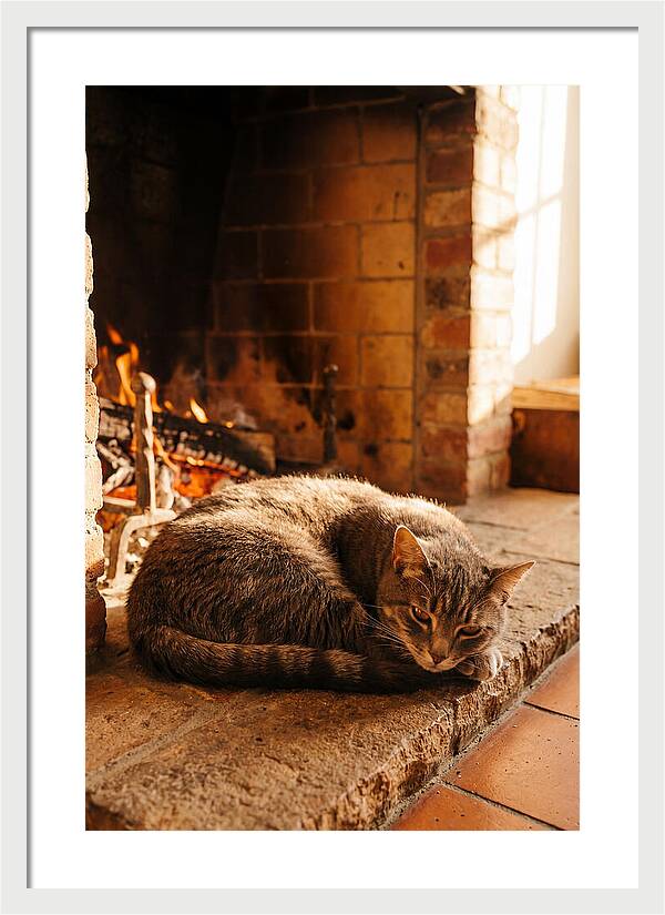 Cozy Cat By The Fireplace
