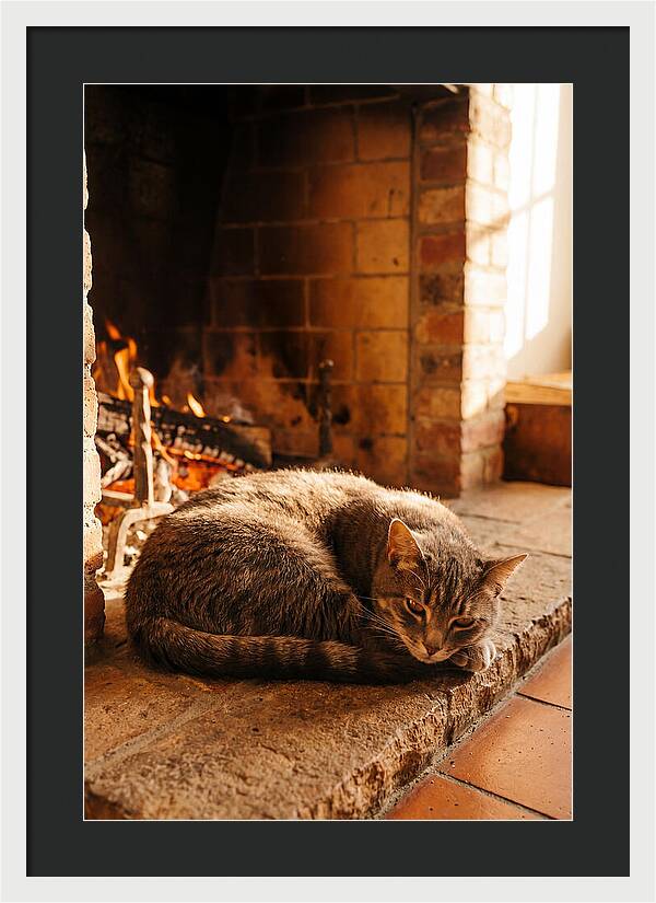 Cozy Cat By The Fireplace