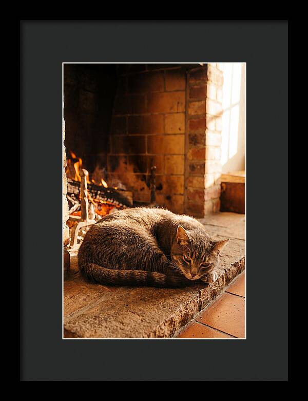 Cozy Cat By The Fireplace