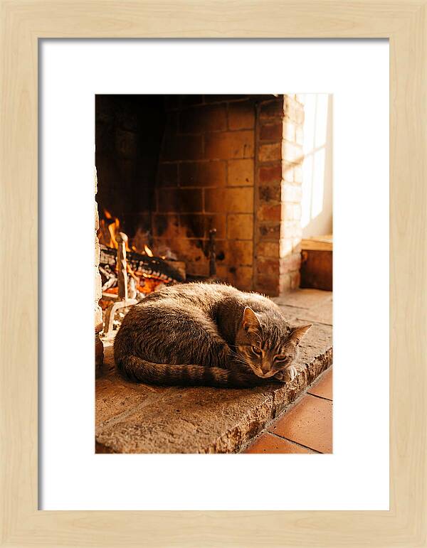 Cozy Cat By The Fireplace