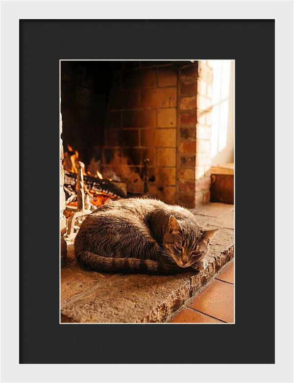 Cozy Cat By The Fireplace