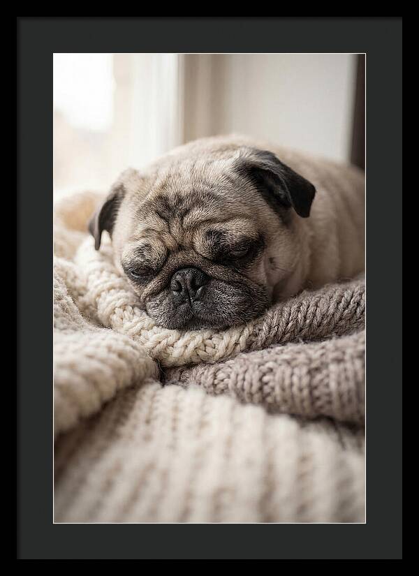 Cozy Pug Dreams