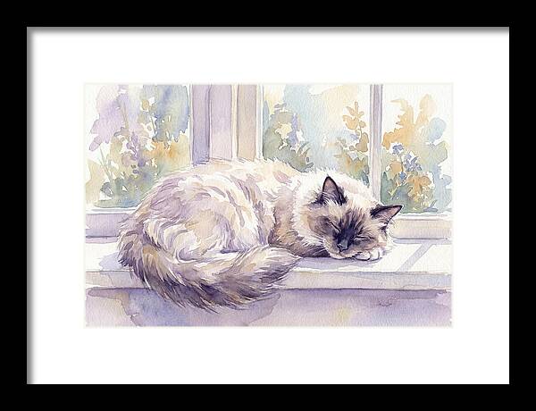 Cozy Ragdoll Cat By The Window