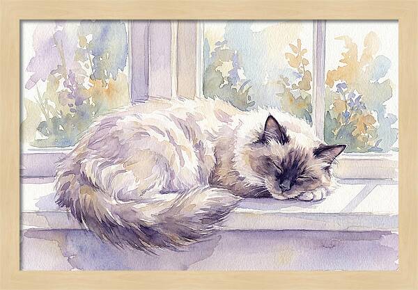 Cozy Ragdoll Cat By The Window