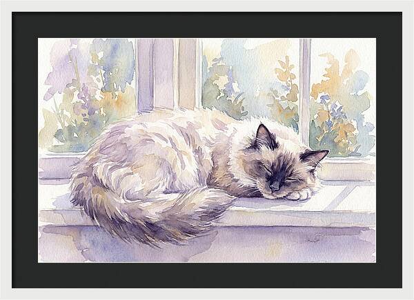 Cozy Ragdoll Cat By The Window