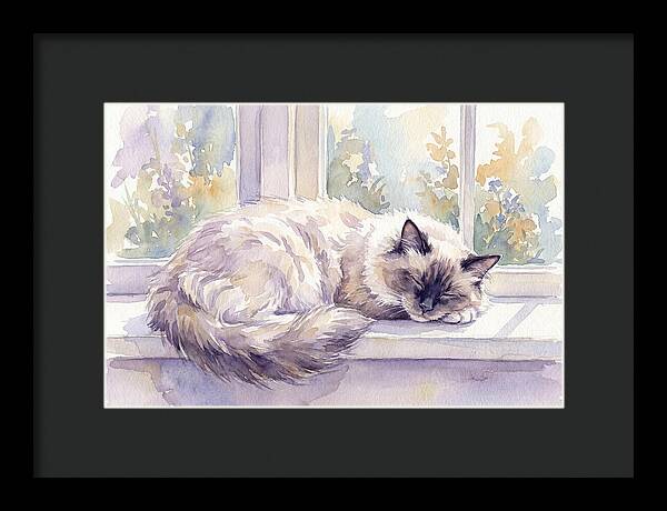 Cozy Ragdoll Cat By The Window