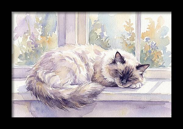 Cozy Ragdoll Cat By The Window