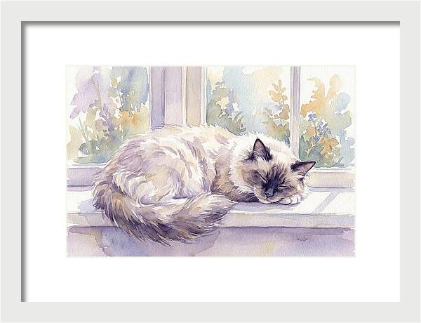 Cozy Ragdoll Cat By The Window